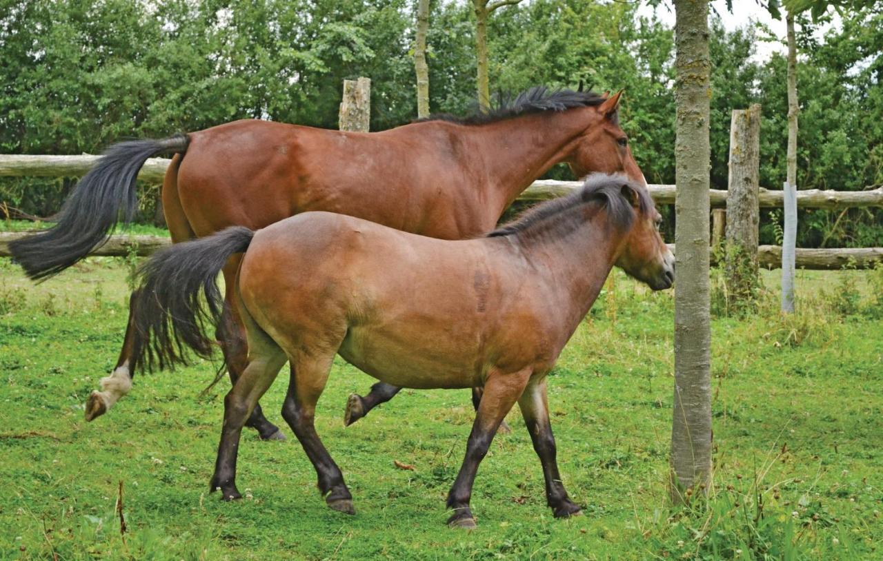 Gite De La Lombardie Lottinghen Extérieur photo